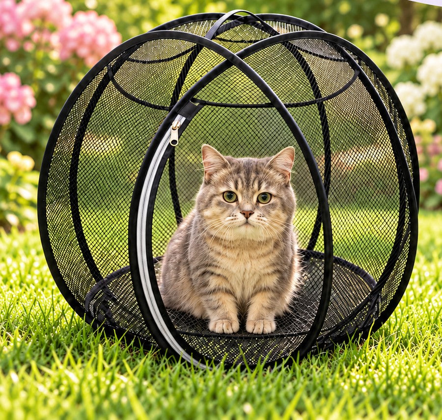 Cat sitting inside the PlayPod pop-up cat playpen on the grass